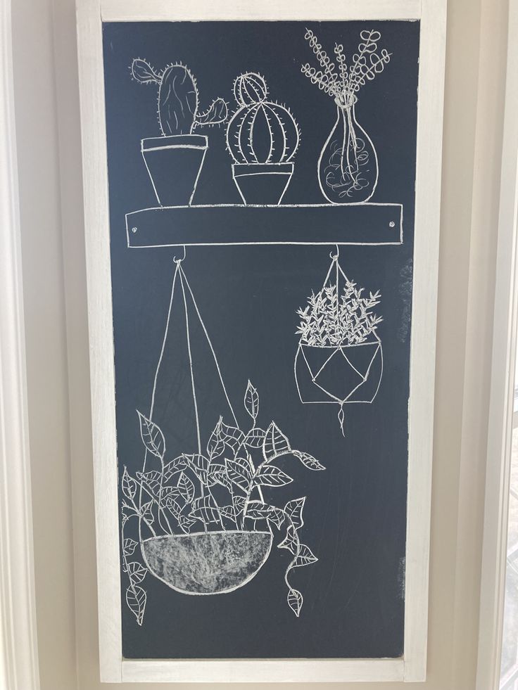 chalkboard drawing of hanging plant pots and succulents