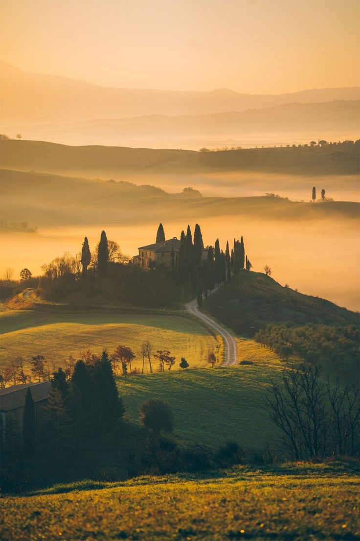 the sun is setting on a foggy hillside with trees and houses in the distance