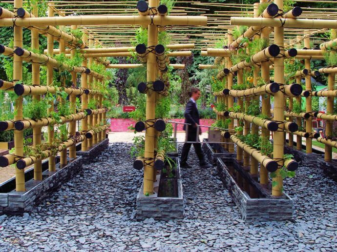 a man standing in the middle of a garden with lots of plants growing on it