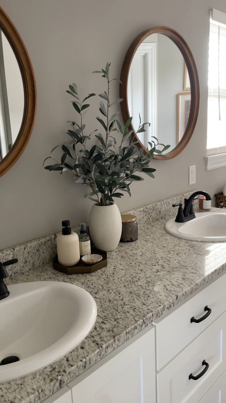 a bathroom with two sinks, mirrors and a plant in the middle of the counter