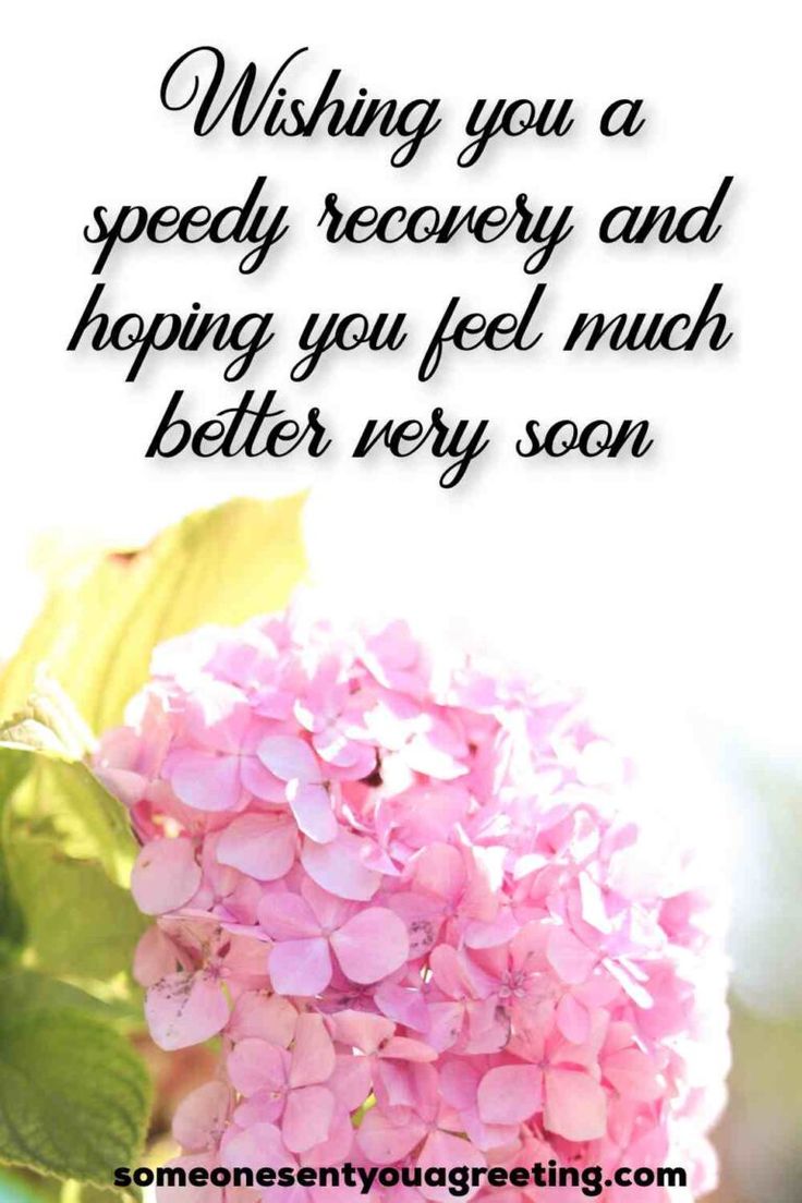 a pink flower with the words wishing you a speedy recovery and hoping you feel much better every soon