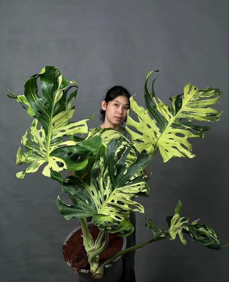 a woman holding a potted plant with green leaves on it's sides and dark background