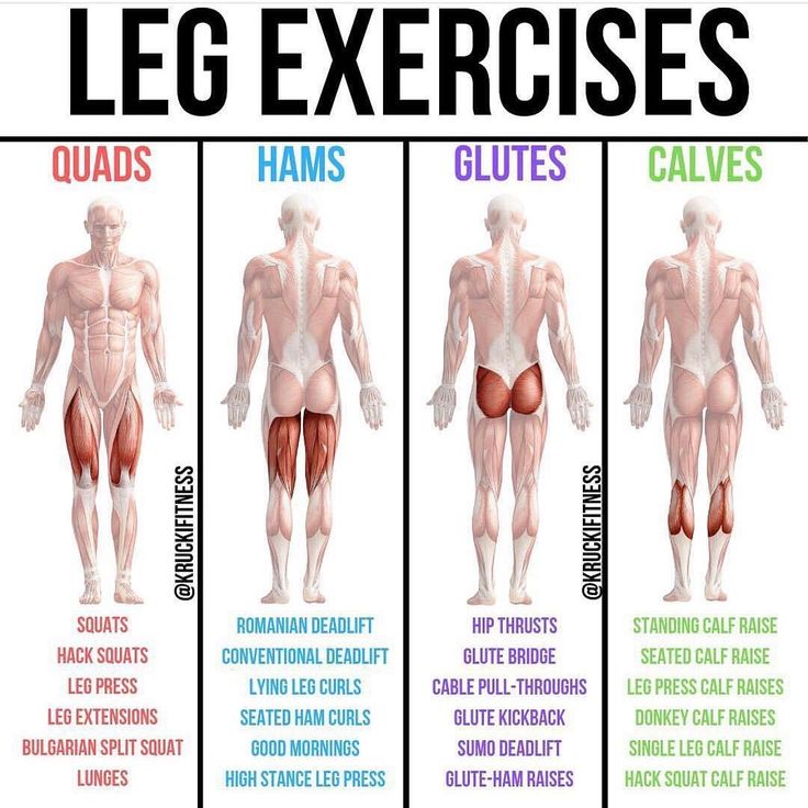 an image of the different muscles and their corresponding names on a white background with text