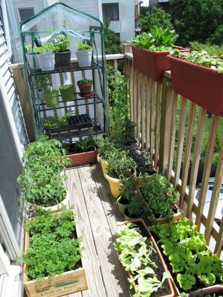 an outdoor balcony garden with various plants growing in pots on the side of the deck