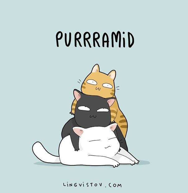 an orange and black cat laying on top of a white cat with the caption purramide