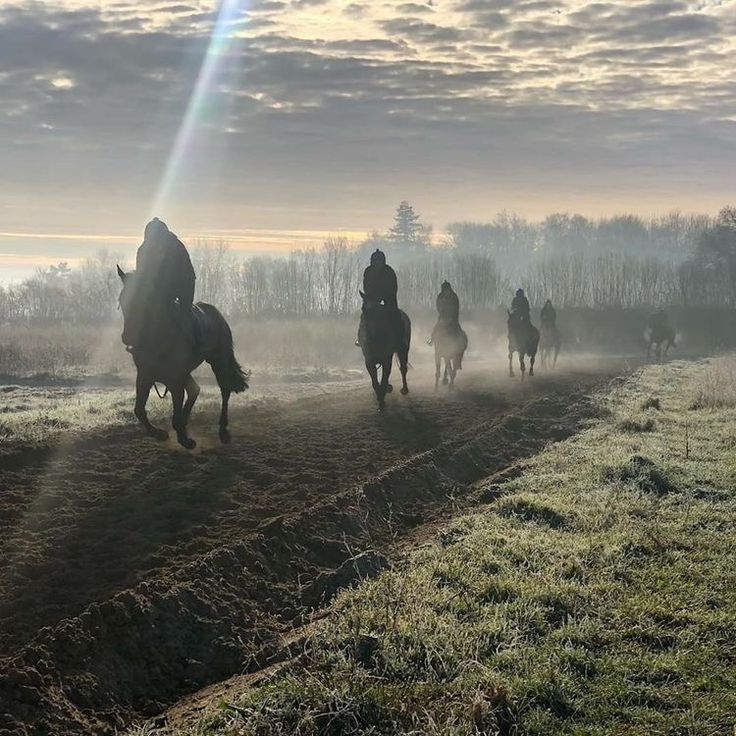 several people are riding horses on a trail in the foggy field with trees behind them