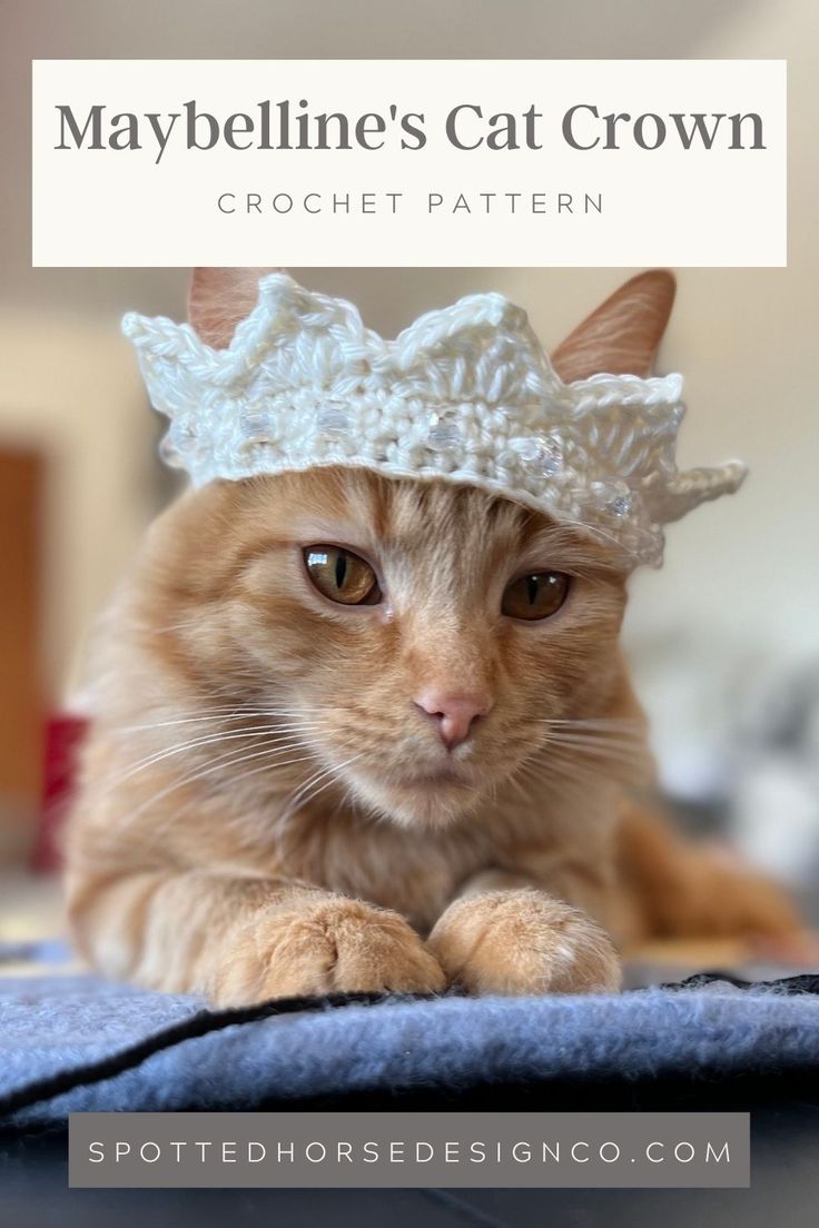 an orange cat wearing a white crochet crown