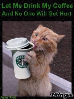 a cat drinking out of a starbucks cup