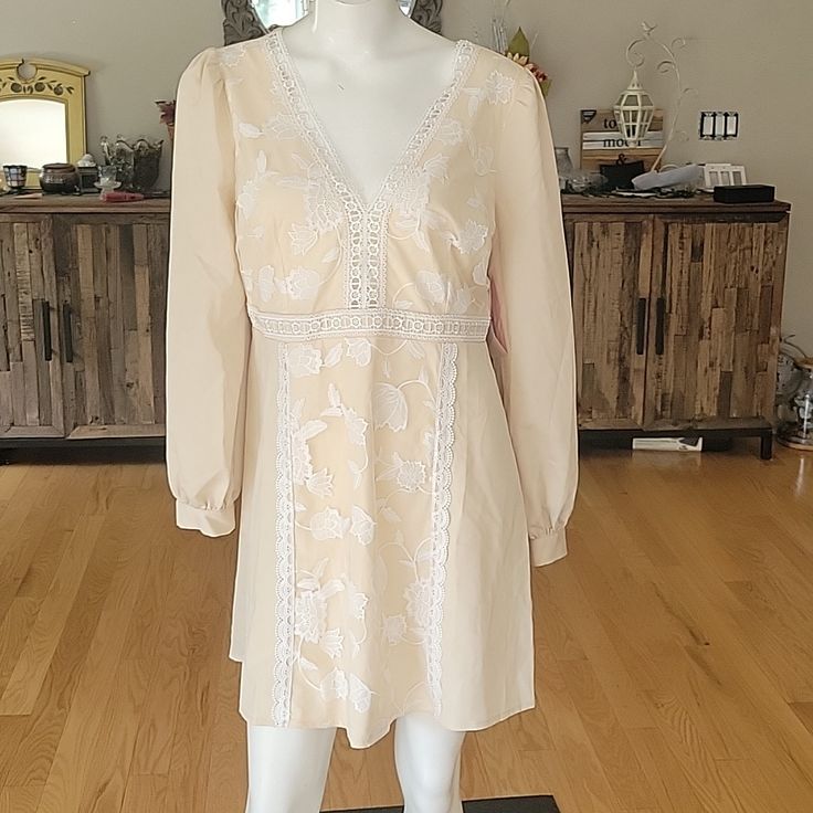 Little Mistress Floral Embroidered And Lace Dress V Neckline Back Zipper Closure Long Sleeves Partial Lining V Neckline, Lace Dress, Colorful Dresses, Long Sleeves, Womens Dresses, Zipper, Cream, Lace, Long Sleeve