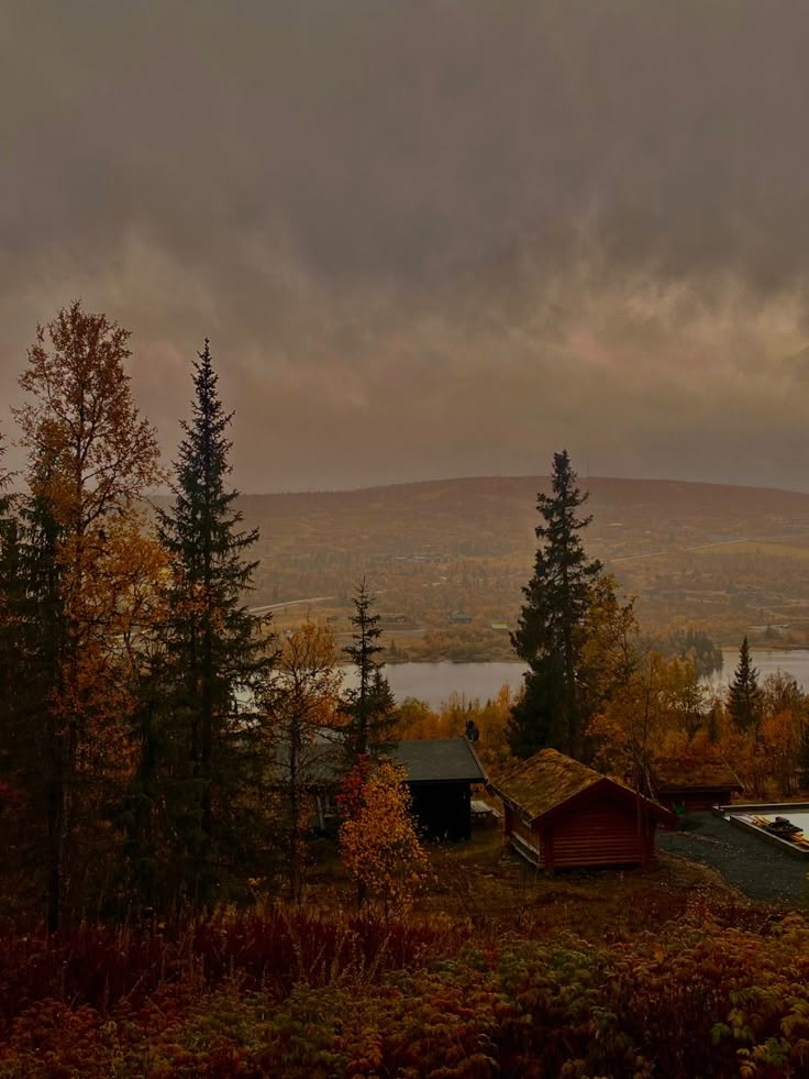 an image of a cloudy day in the woods with houses and trees on the land