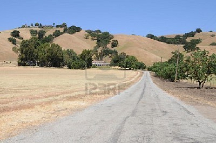 a dirt road in the middle of a field with trees on both sides and hills behind it