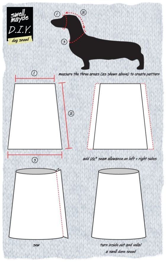 how to make a skirt for a dachshund dog in the process of sewing