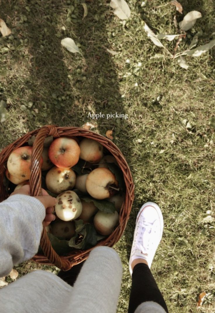 A girl holding a basket full of apples in a fall season Fall Garden Aesthetic, To Do List Fall, Fall Activity Ideas, Fall To Do List, Apple Picking Fall, Fall Instagram, Fall Dates, Fall Activity, Homestead Life