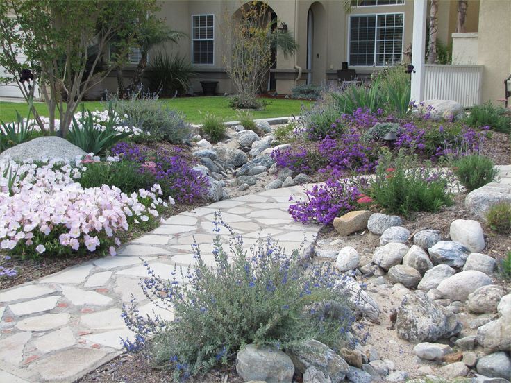 a house with landscaping in front of it and purple flowers on the side of the house