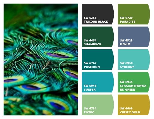 the color scheme for peacock feathers in shades of green, blue, and yellow is shown