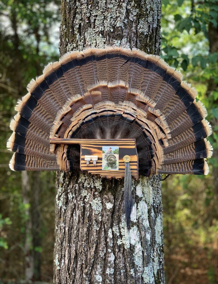 a bird house built into the side of a tree