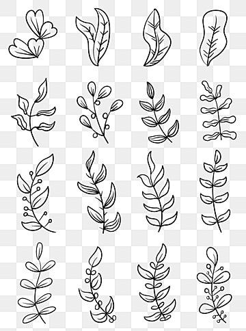 a set of hand drawn leaves on a transparent background, line art, black and white, leaf png and psd