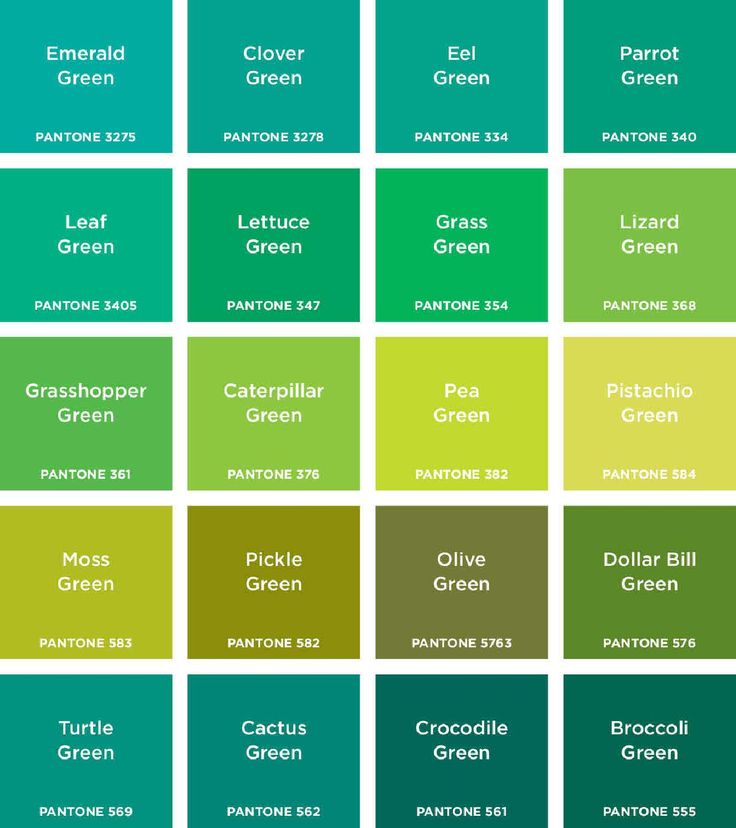 the color chart for different shades of green