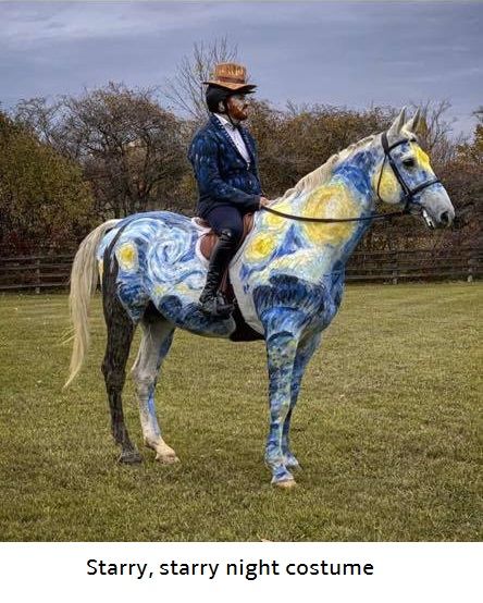 a man riding on the back of a blue and yellow painted horse in a field