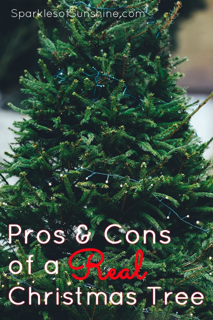 a christmas tree with the words pros and cons of a real christmas tree