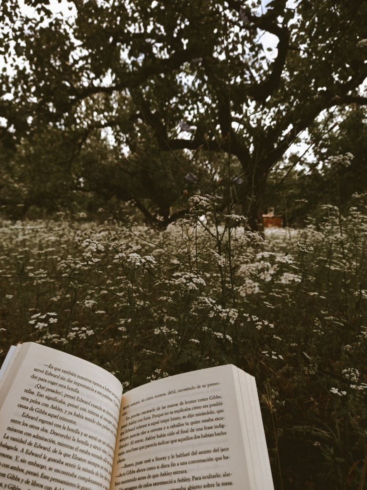 an open book sitting in the middle of a field