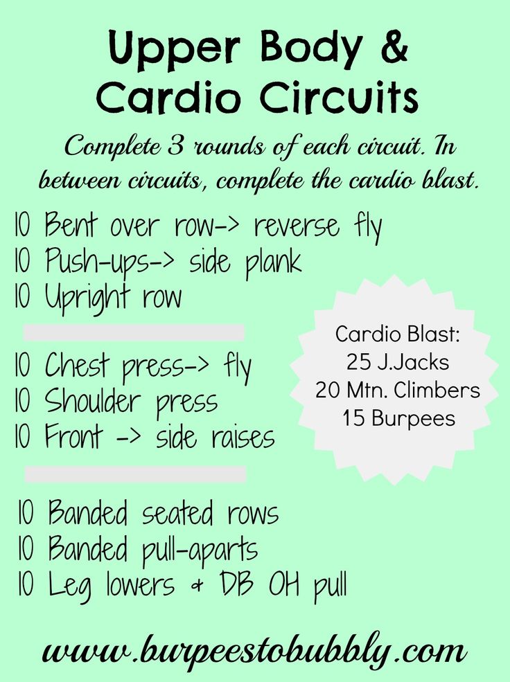 the upper body and cardio circuit workout plan