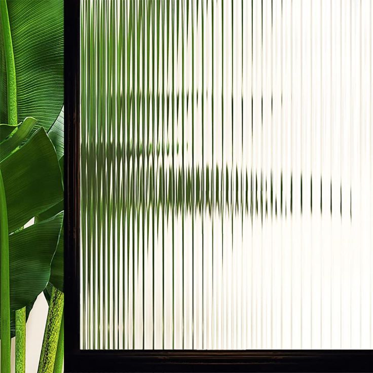 a large green plant sitting next to a window with vertical blinds on the outside and inside