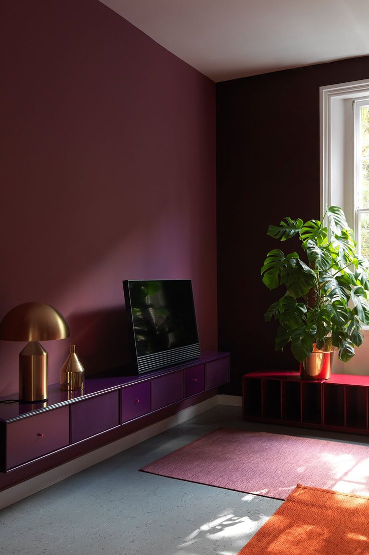 a living room with purple walls and a potted plant in front of the window