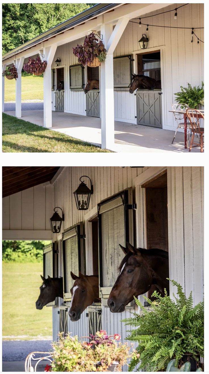 two pictures of horses sticking their heads out of the stable doors and looking at each other