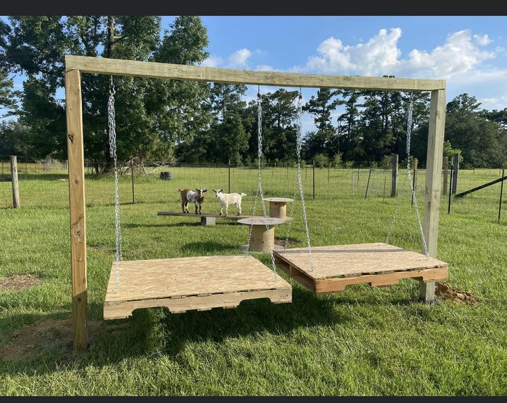 an outdoor swing set in the middle of a grassy field with cows grazing on it