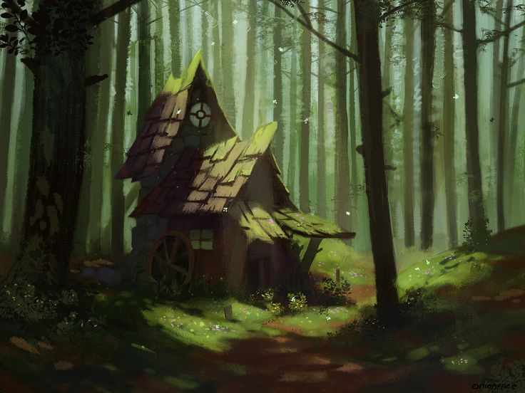 a small house in the middle of a forest