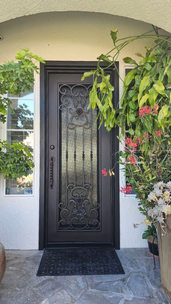 a black front door surrounded by potted plants