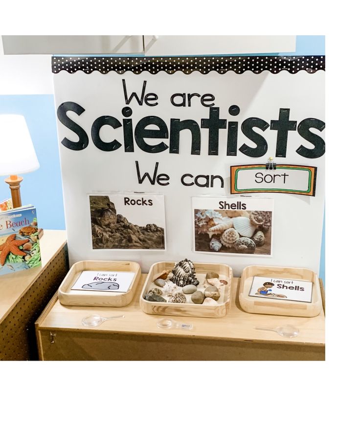 we are scientist's table with rocks and shells on it