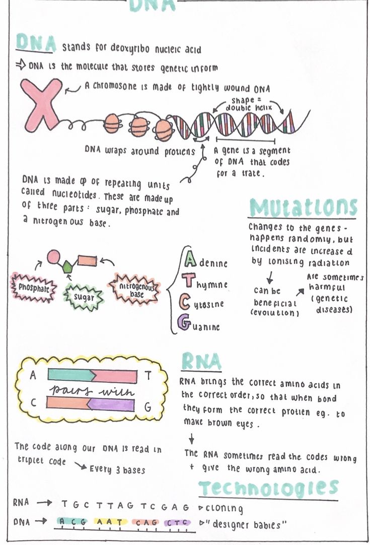 a handwritten diagram showing the steps in how to write an outline for a science project