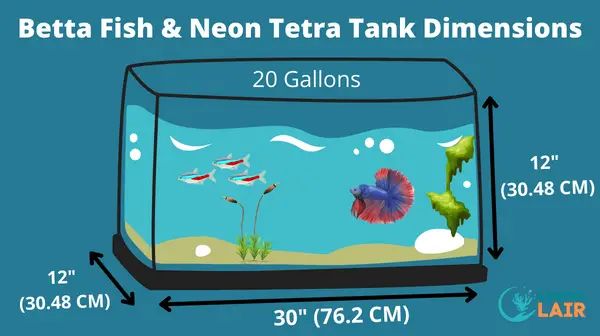 a fish tank is shown with the measurements for it's water and its size