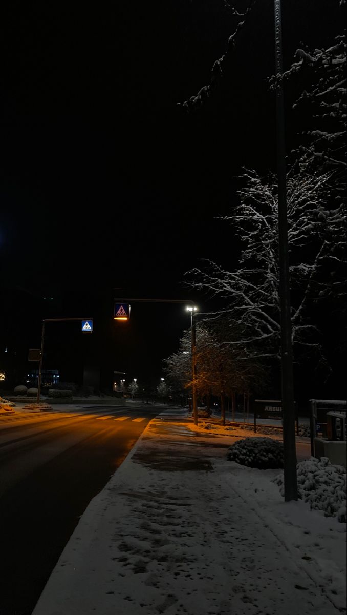 the street light is lit up on a snowy night with no cars or people in it