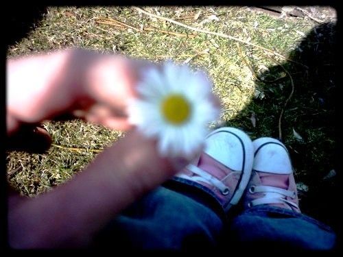 a person holding a flower in their hand