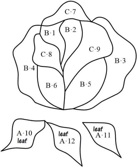 a flower with four petals and leaves on it, labeled in the following words below