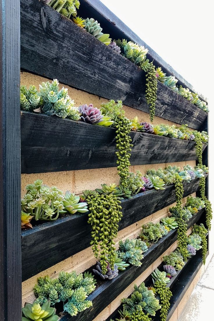 a wooden wall with many succulents growing on the side and attached to it