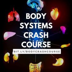 the words body systems crash course in front of an image of glowing lights and shapes