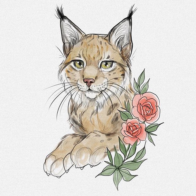 a drawing of a cat with flowers in front of it