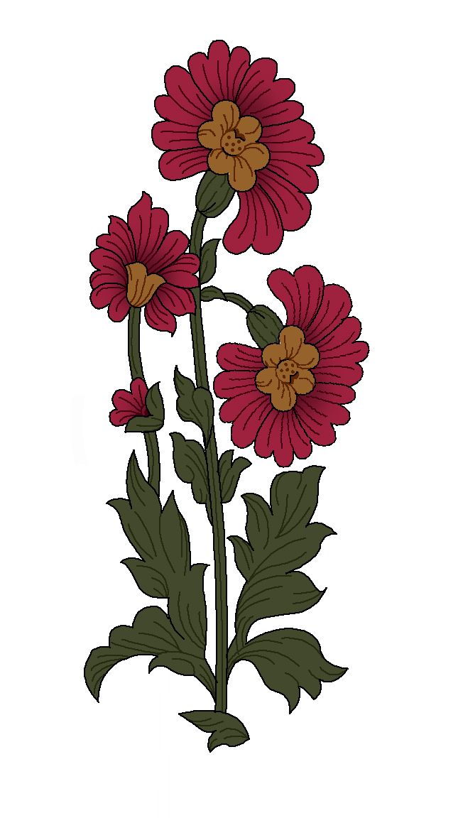 three red flowers with green leaves on a white background