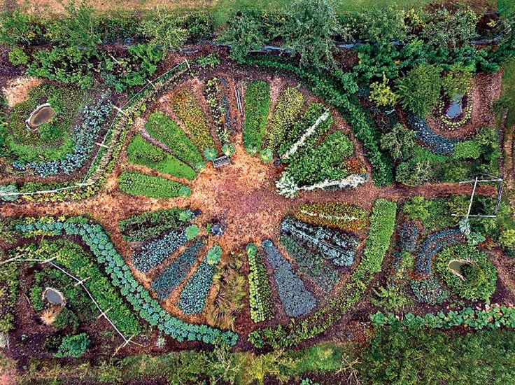 an aerial view of a garden with lots of trees and plants in the middle of it