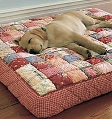 a dog laying on top of a quilted bed next to a wall and hardwood floor