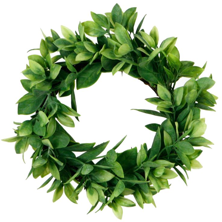 a wreath made out of green leaves on a white background