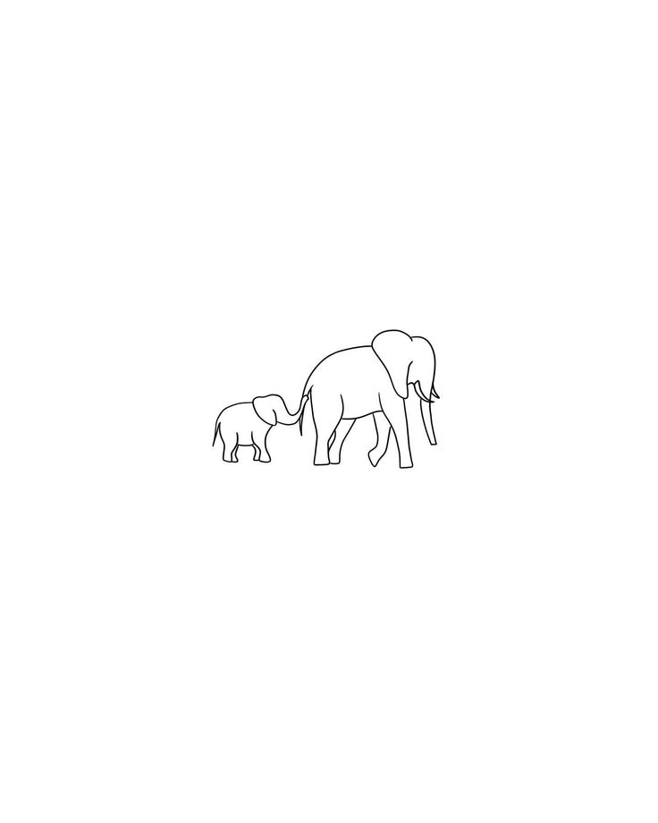 an elephant and her baby are standing in the same line on a plain white background