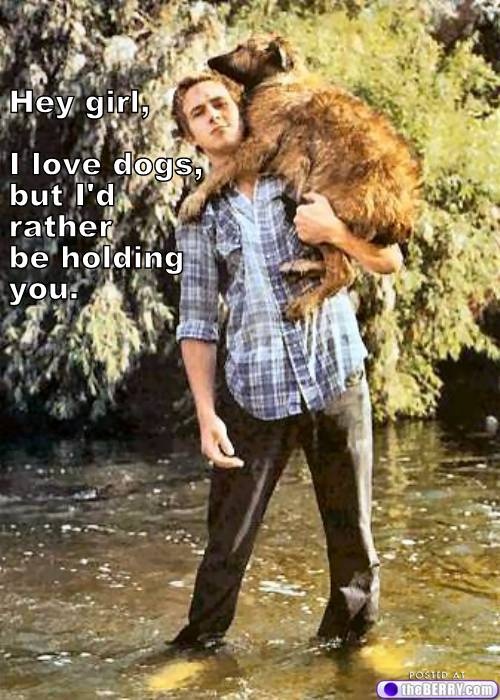 a man holding a cat in his arms and the caption says hey girl, i'll'll rescue ur dog