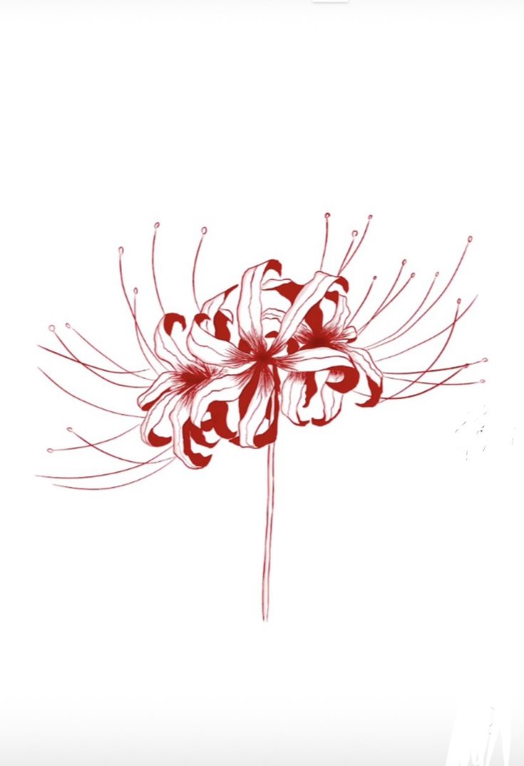 a red and white drawing of a flower on a white background with the words,