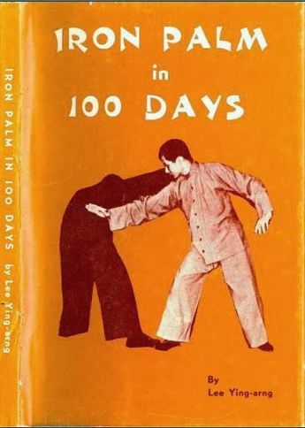 an orange book cover with the title iron palm in 100 days