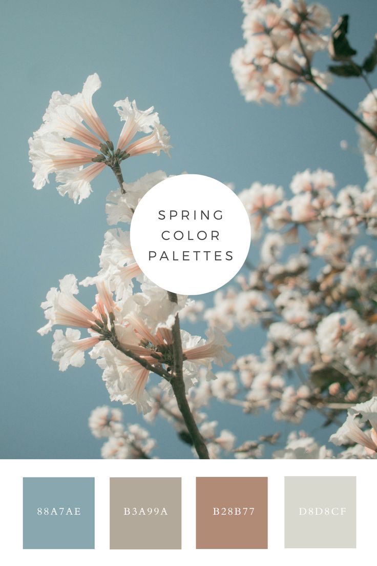 spring,spring flowers,spring color palette Pale Blue Palette, Soft Pastel Color Palette, Color Schemes Spring, Soft Spring Palette, Muted Pastel Color Palette, Soft Blue Color Palette, Soothing Color Palette, Vintage Paint Colors, Blue Bedroom Colors